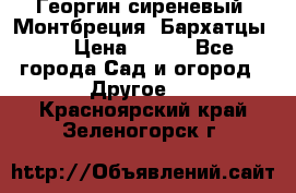 Георгин сиреневый. Монтбреция. Бархатцы.  › Цена ­ 100 - Все города Сад и огород » Другое   . Красноярский край,Зеленогорск г.